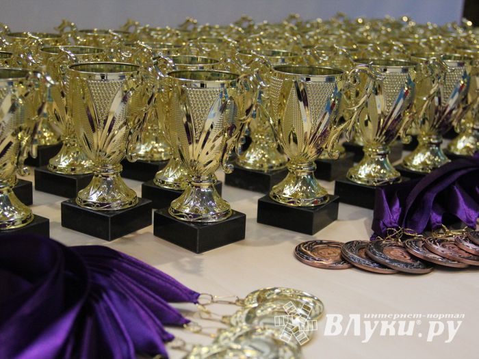 ​В Великих Луках проходит Открытое Первенство по художественной гимнастике (ФОТО) (0+)