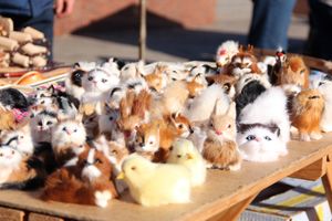 Торговая ярмарка «Осень-2016» прошла в Великих Луках (ФОТО)