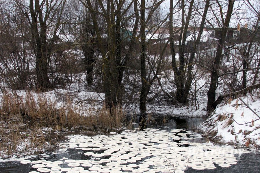 Удивительное природное явление в Великих Луках (ФОТО)