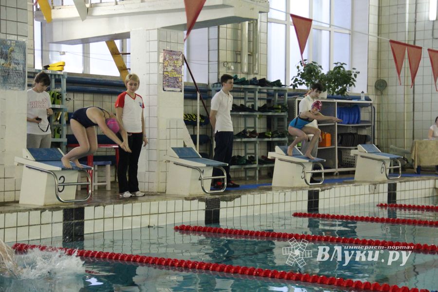 В Великих Луках прошло Первенство города по плаванию (фото)