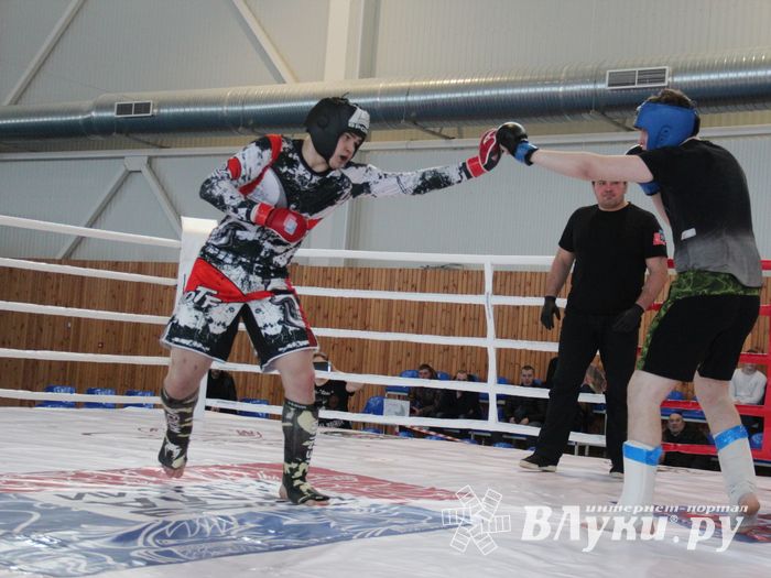 В Великих Луках завершился открытый кубок по смешанному боевому единоборству ММА (ФОТО)