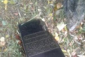 В Великих Луках вандалы осквернили могилы предков академика Виноградова (ФОТО)
