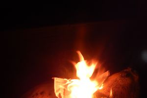 В Псковской области сожгли почти 17 кг хамона (ФОТО)