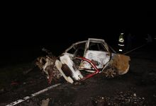 Все погибшие в сгоревшей машине под Порховом были жителями Новгородской области (фото)