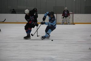 Великолукские хоккеисты в шаге от финала (ФОТО)