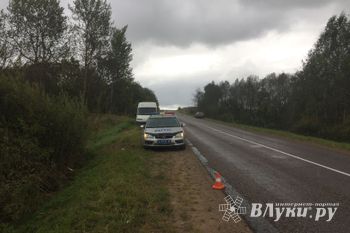 В Великолукскои районе машина вылетела в кювет и перевернулась (ФОТО)