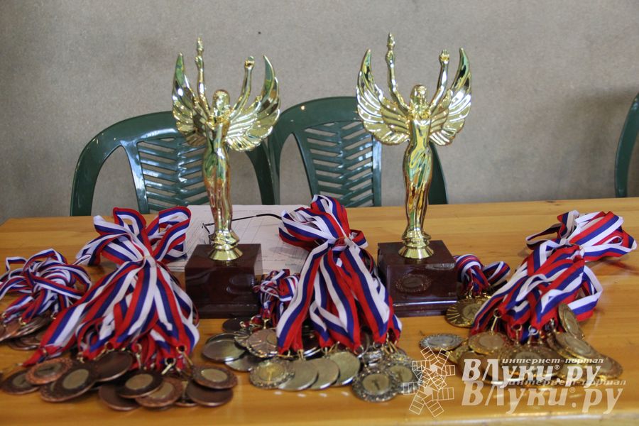 Великолучане стали победителями турнира по каратэ «Неприкосновенный запас, дети — Отчизны 2015» (фото)