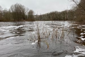 © ВЛуки.ру