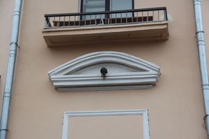 В Великих Луках появился чёрный кот (ФОТО)