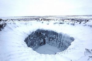 Фото: Департамент внутренней политики Ямало-Ненецкого автономного округа