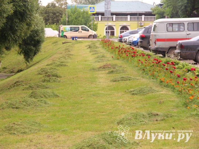 В Великих Луках сажают, стригут и красят (ФОТО)