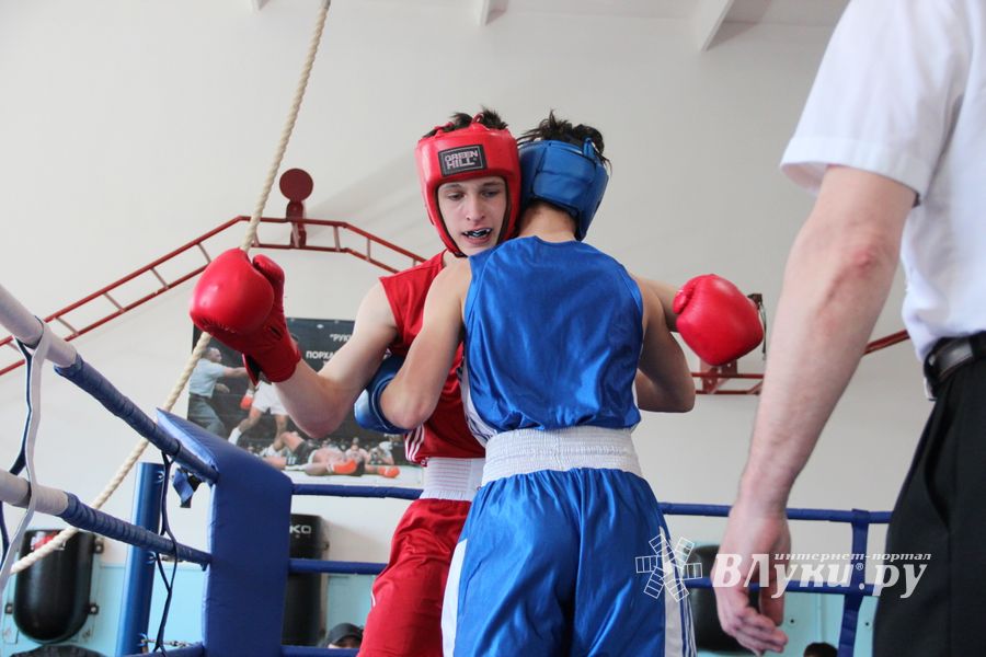 В Великих Луках завершился открытый турнир по боксу (ФОТО)