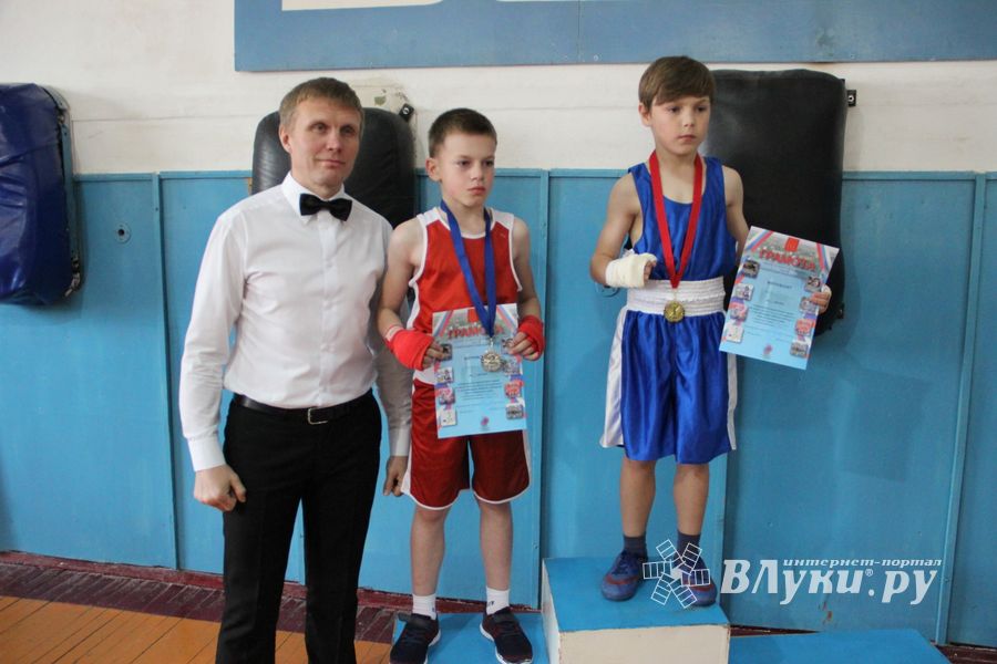 Юные великолучане выявили сильнейших боксёров (ФОТО)