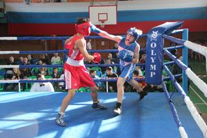 В Великих Луках прошел турнир по боксу памяти Е. Клевцова (ФОТО)