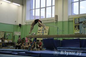 В Великих Луках состоялось  Первенство города по спортивной гимнастике (фото)