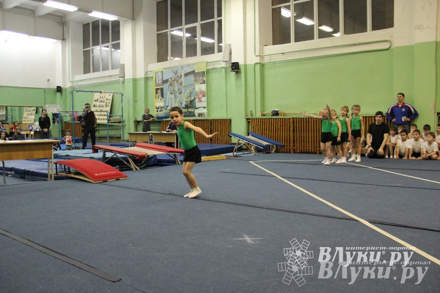 В Великих Луках состоялось Первенство по командной гимнастике (фото)