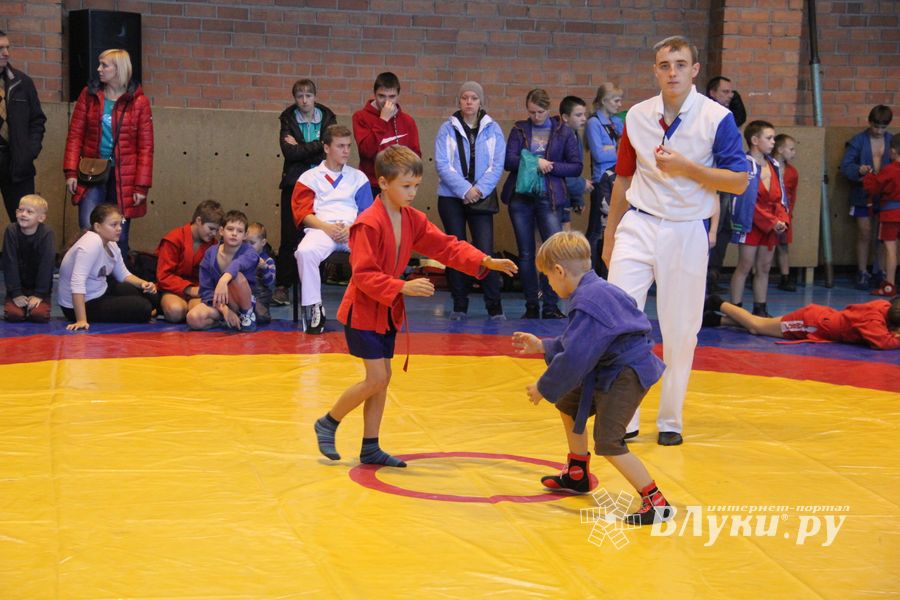 В Великих Луках прошел турнир по самбо "Память" (фото)
