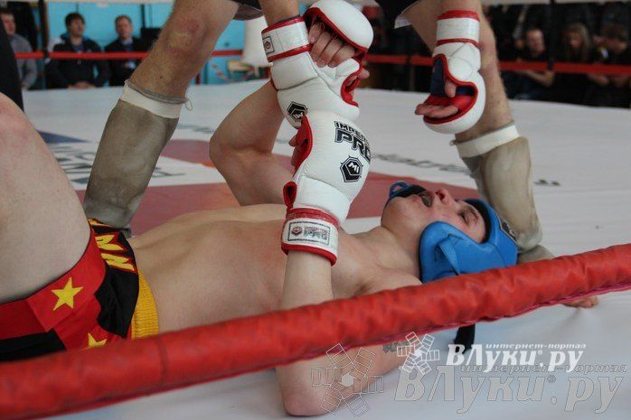Чемпионат Псковской области по ММА