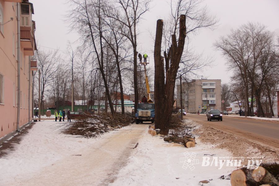 Одни ещё обрезают, а другие уже жалуются губернатору (ФОТО)