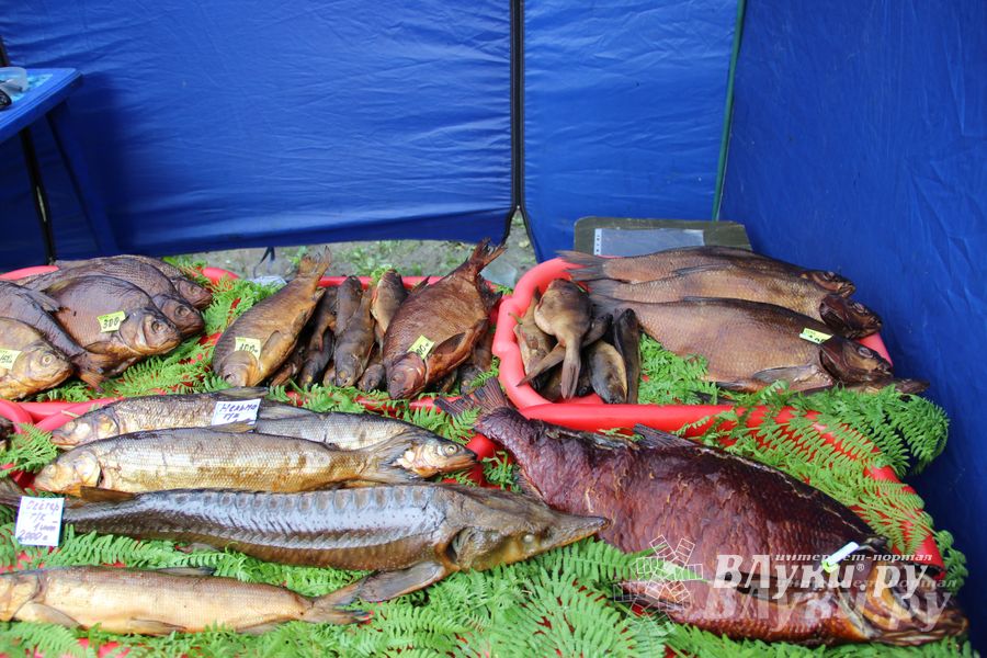 В Пскове проходит 22-ая универсальная выставка (фото)