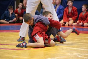 Открытый турнир по самбо «Новогодняя звезда-2019» прошел в Великих Луках (ФОТО)