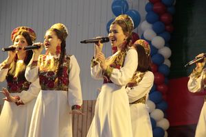 Матчевая встреча по боксу Великие Луки —Псков — Грозный (ФОТО)