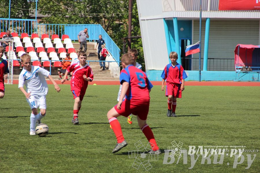«Локобол-2013» в Великих Луках