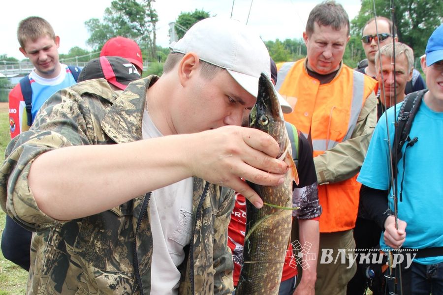 Чемпионат Великих Лук по ловле спиннингом: клевала, но мало (ФОТО)