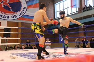 В Великих Луках прошел международный открытый Кубок по смешанному боевому единоборству (ФОТО) (16+)