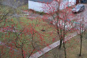 Зима в Великих Луках будет суровой (ФОТО)