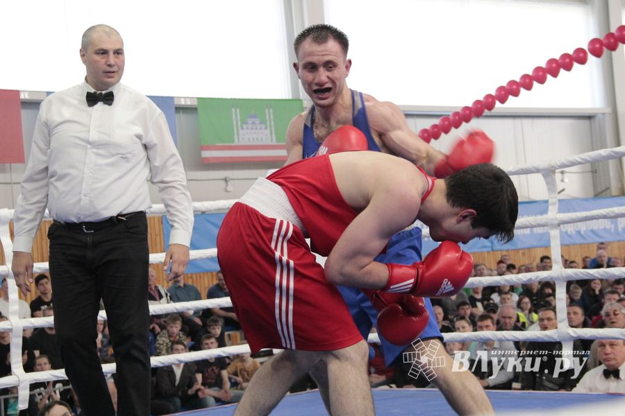 Матчевая встреча по боксу Великие Луки —Псков — Грозный (ФОТО)