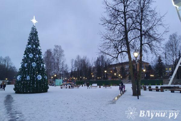 Сегодня в Великих Луках будет пасмурно