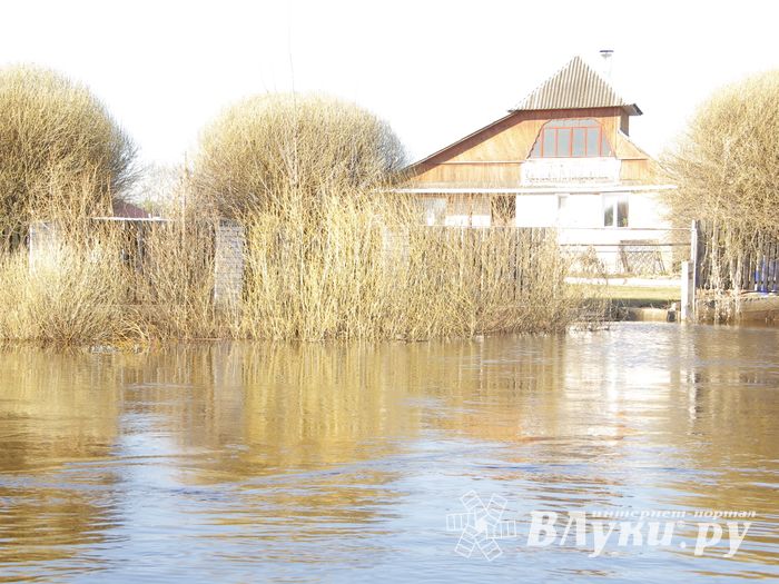 В Великих Луках продолжаются поиски мужчины, пропавшего 9 марта (ФОТО)