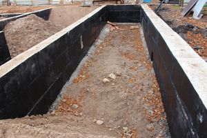 В скором времени нерадивых великолучан станет проще изолировать (ФОТО)