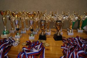 Великолучане завоевали призовые места на турнире по самбо «Память» (ФОТО)