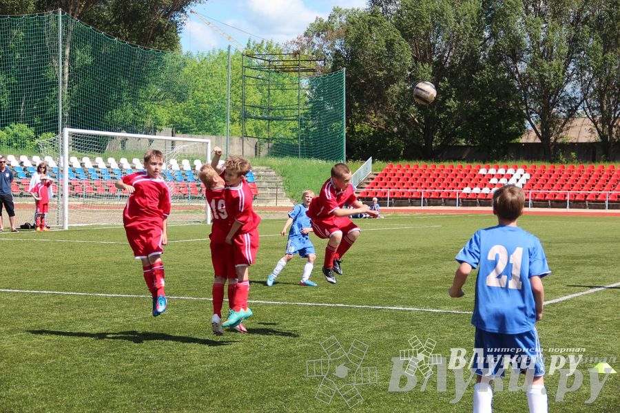 «Локобол-2013» в Великих Луках