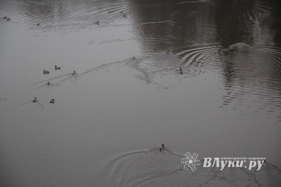 Город встретил День народного единства