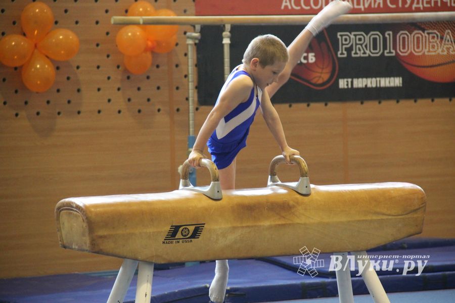 Парад гимнастики