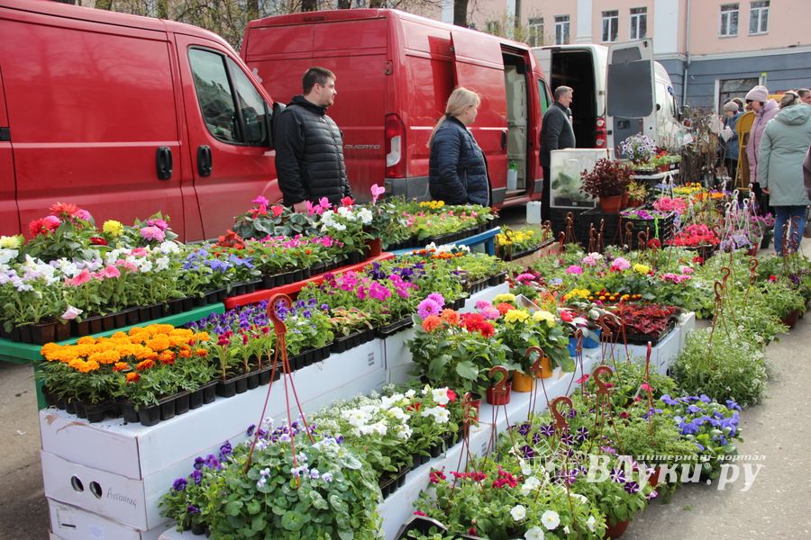 В Великих Луках прошла ярмарка «Весна - 2022» (ФОТО)