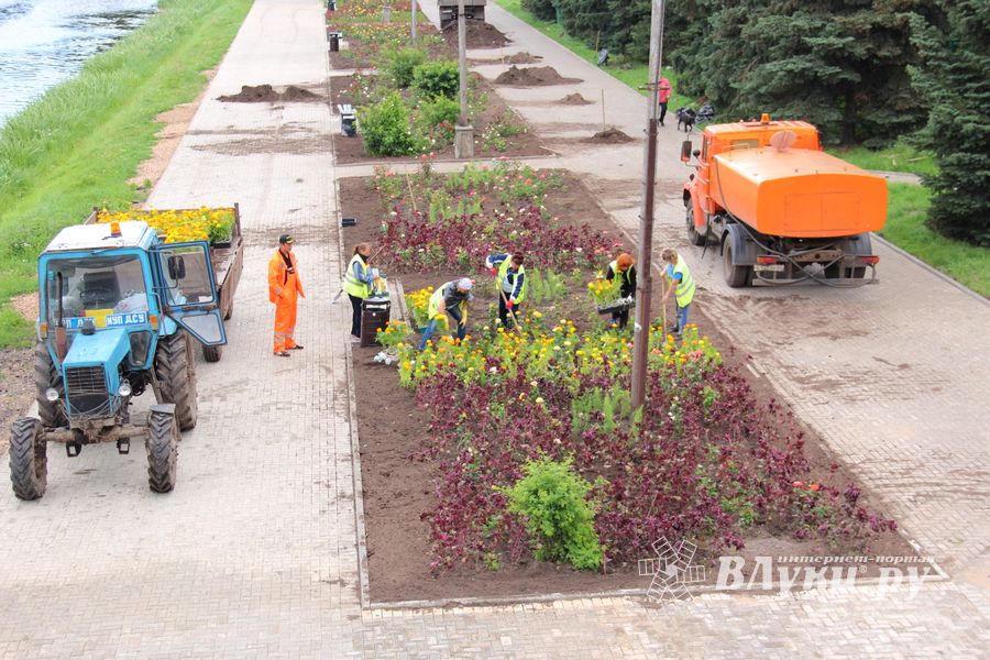 В Великих Луках сажают, стригут и красят (ФОТО)