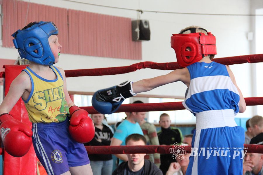 В Великих Луках прошло Первенство города по боксу (ФОТО)