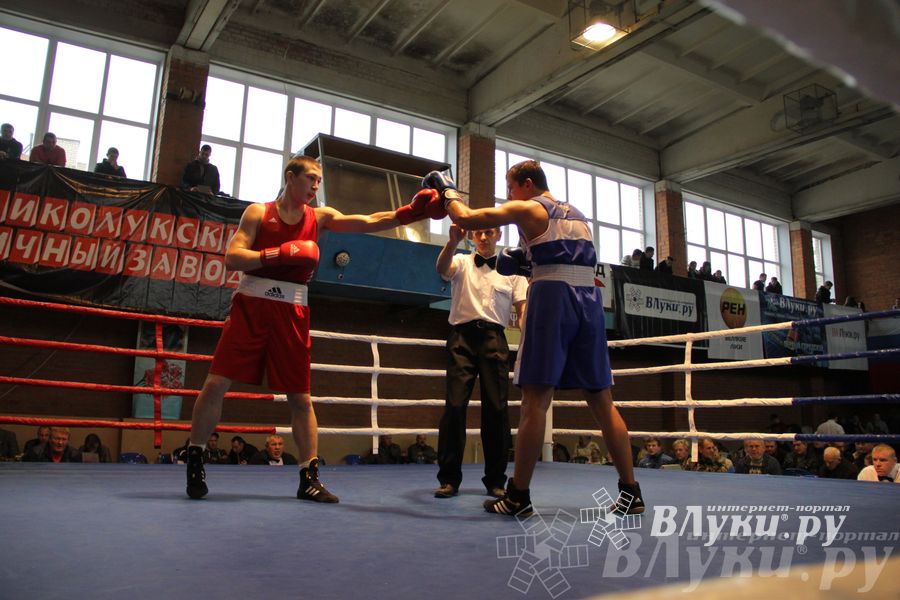 16-й Международный турнир по боксу (фото)