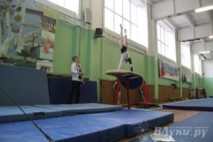 В Великих Луках прошел турнир по спортивной гимнастике (фото)