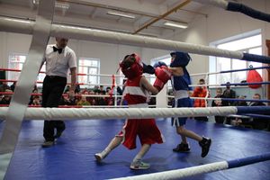 В Великих Луках завершились соревнования по боксу (ФОТО)