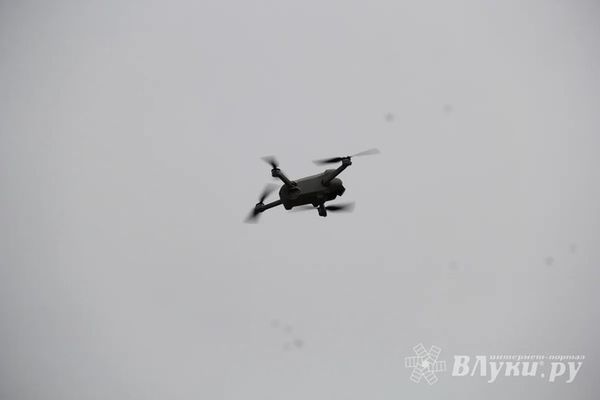 В Псковской области сбит ещё один вражеский БПЛА