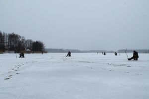 На Пореченском озере прошел Чемпионат города Великие Луки по ловле рыбы на блесну со льда (ФОТО)