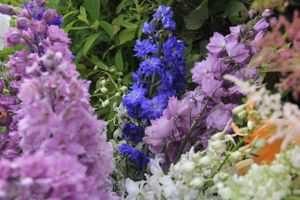 «Парад детских колясок» в День семьи, любви и верности (ФОТО)