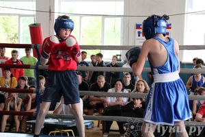 Первенство города по боксу