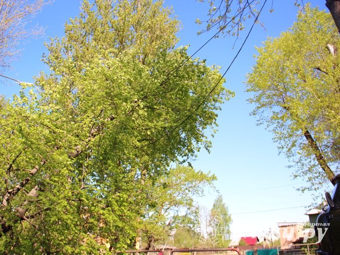 Авария устранена, движение по проспекту Гагарина возобновлено (ФОТО)