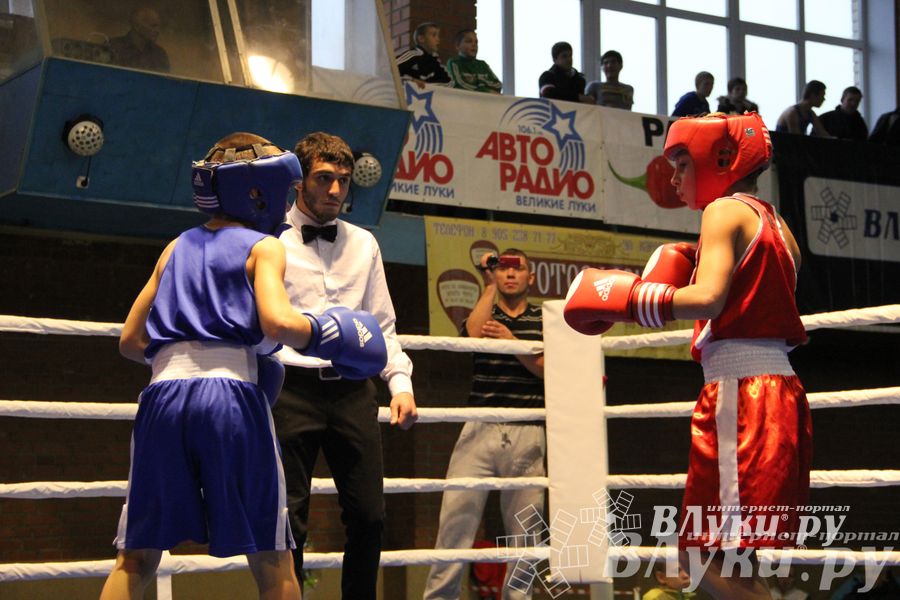 Открытие 16-го  Международного турнира по боксу